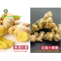 Chinese Dried Ginger whole